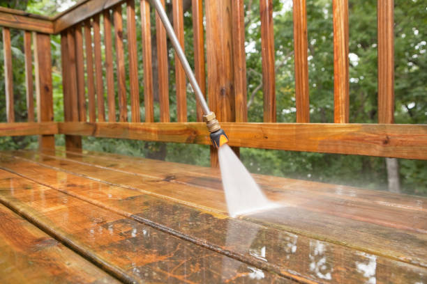 Best Residential Pressure Washing Services  in Ripley, MS